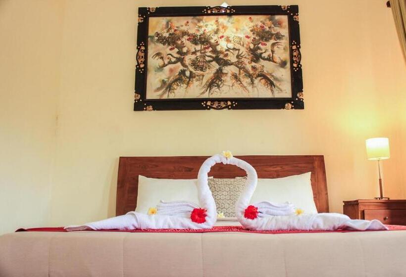 Pokój Standard, Ancut Sari