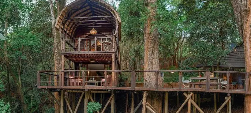 سوییت خانوادگی, Serenity Mountain And Forest Lodge
