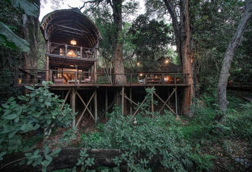 家庭套房, Serenity Mountain And Forest Lodge