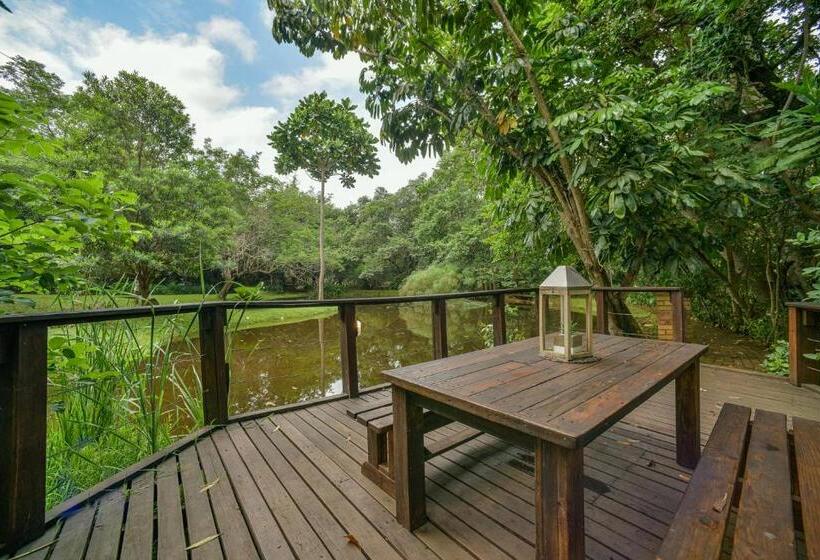 Suite with lake view, Serenity Mountain And Forest Lodge
