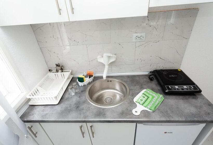 سوییت لوکس, Vila ćirković U Centru Sokobanje