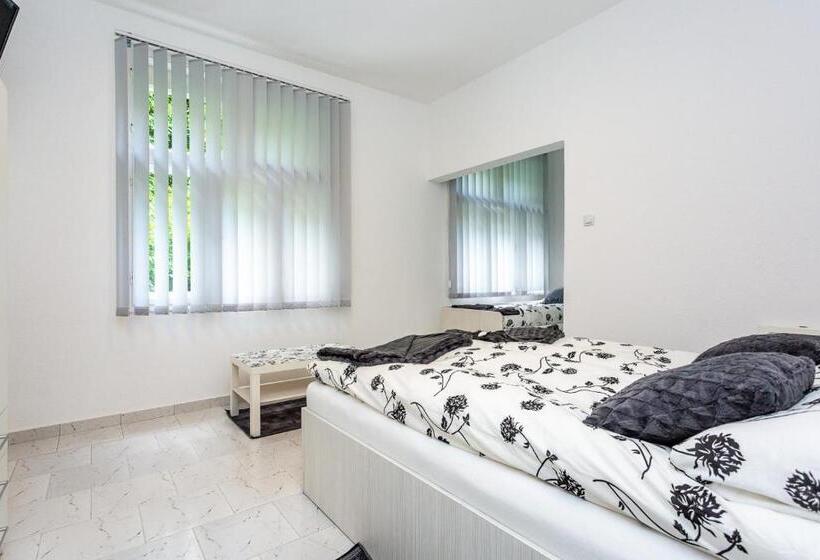 سوییت لوکس, Vila ćirković U Centru Sokobanje