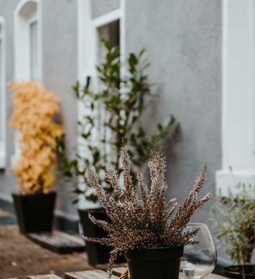 디럭스 스위트, The Loft Lodge Suiten