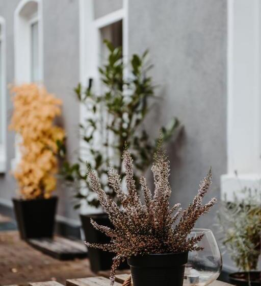 테라스 주니어 스위트, The Loft Lodge Suiten