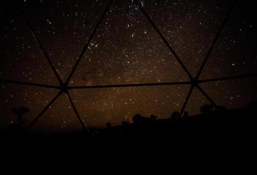 Standard Tent, Hillview Farmstay