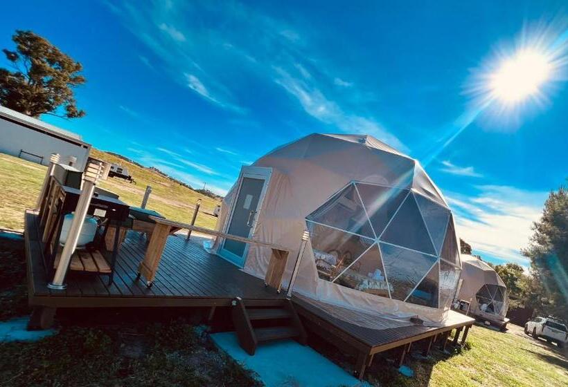 Standard Tent, Hillview Farmstay