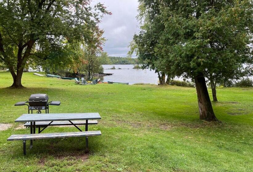 غرفة قياسية, Tally Ho Inn