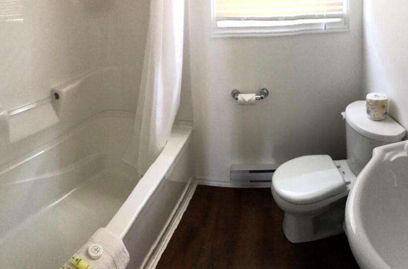 إستوديو ديلوكس, Tally Ho Inn