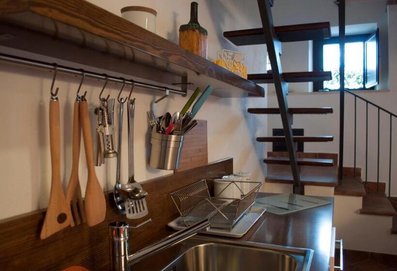 דירת חדר נוף לים, Residence Zelzar