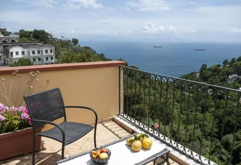 سوئیت پنت هاوس, Residence Zelzar