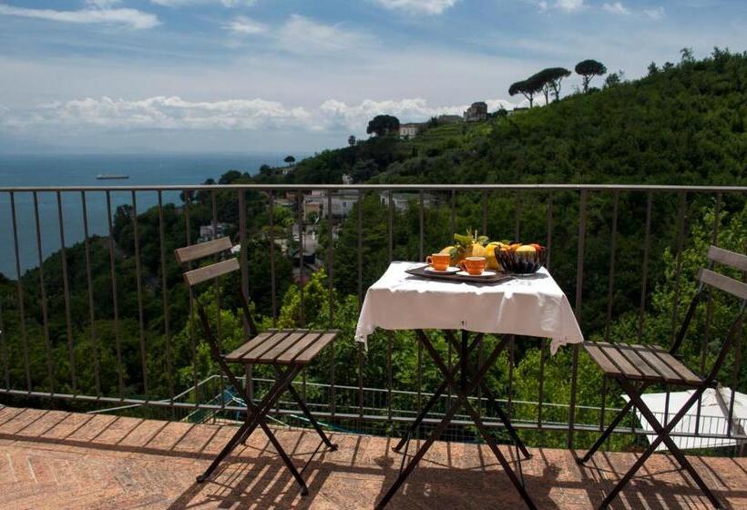 חדר סטודיו סטנדרד, Residence Zelzar