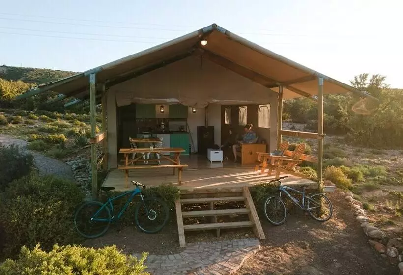 Standard Tent, Africamps Klein Karoo