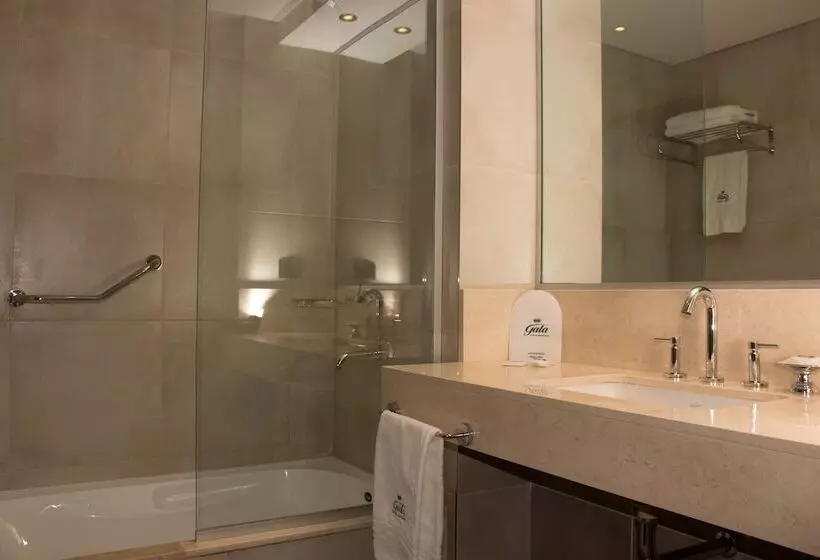 デラックスルーム, Gala Hotel Y Convenciones