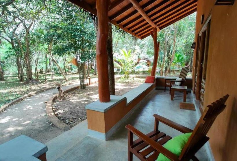 디럭스 4인 룸, Kuwera Eco Lodge