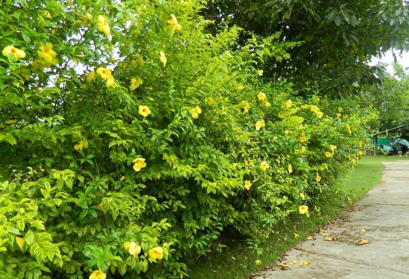 빌라 침실 1개, Pai Iyara Resort