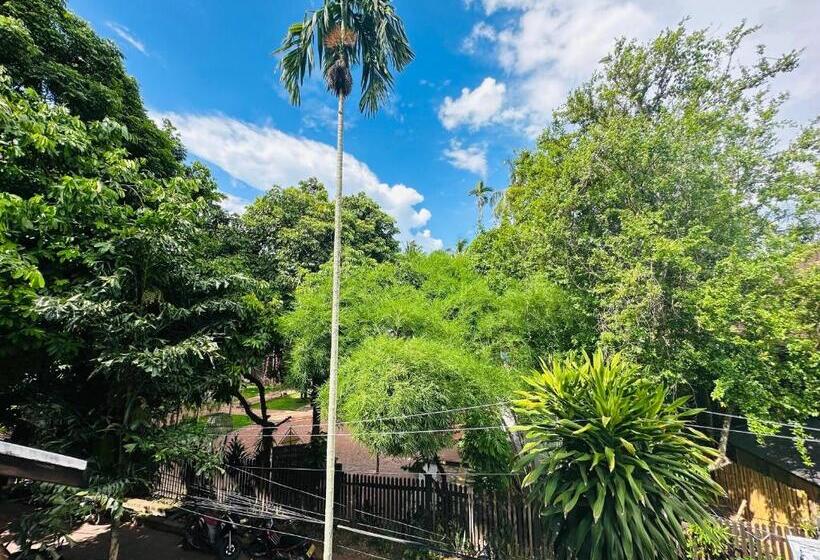 اتاق لوکس با بالکن, Thatsaphone