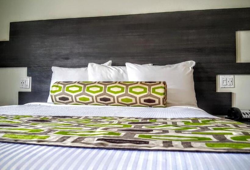 חדר דלוקס יחיד, Jewel City Inn