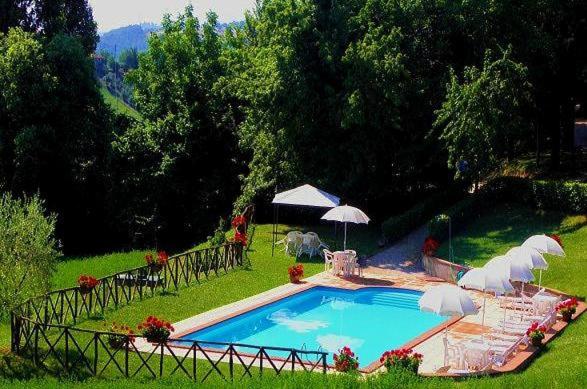 Номер Стандарт, Aurora