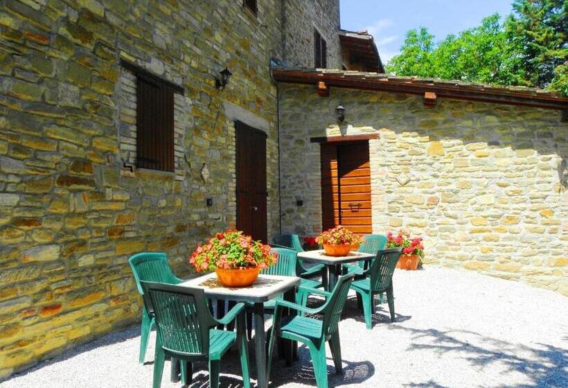 Апартаменты 1 Спальня, Aurora