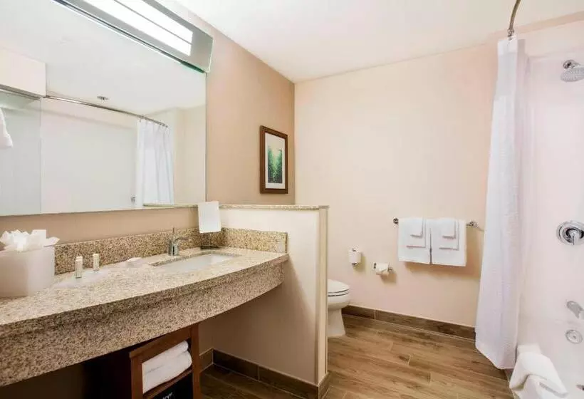シングルデラックスルーム, Courtyard By Marriott Faro Blanco Resort