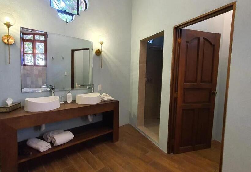 سوئیت جونیور با چشم‌انداز باغ, Mansion San Miguel