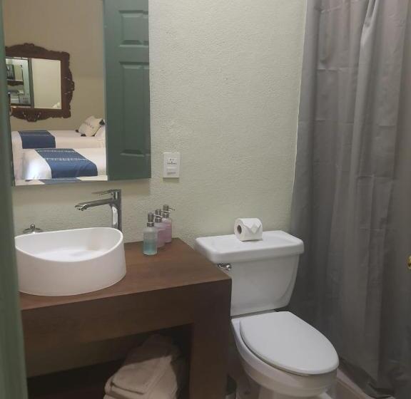 اتاق عادی, Mansion San Miguel