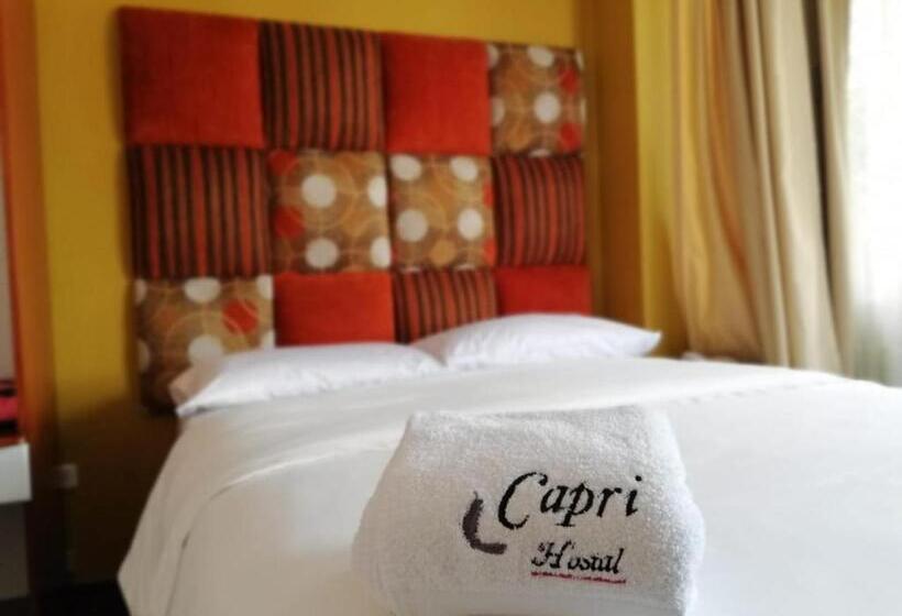 스탠다드 싱글 룸, Hostal Capri