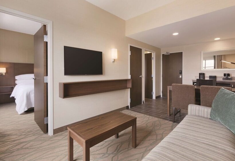 Люкс Адаптированный для Инвалидов, Embassy Suites By Hilton Akroncanton Airport