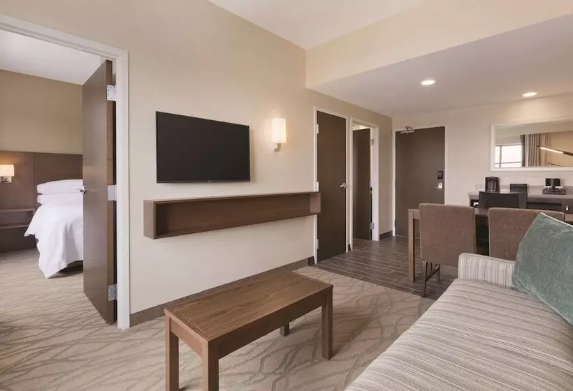 سوئیت برای معلولان, Embassy Suites By Hilton Akroncanton Airport