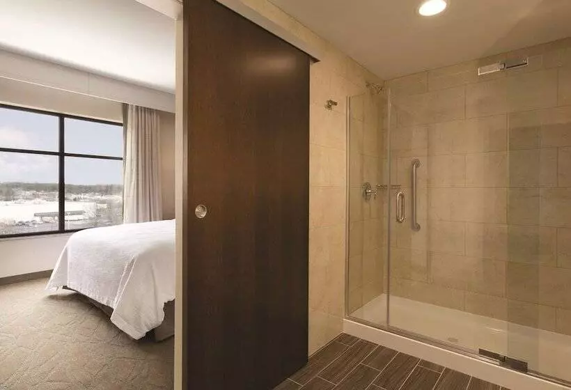 سوئیت برای معلولان, Embassy Suites By Hilton Akroncanton Airport
