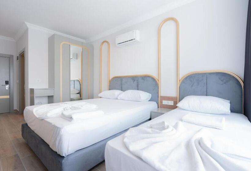 Номер Стандарт, Gurses Life