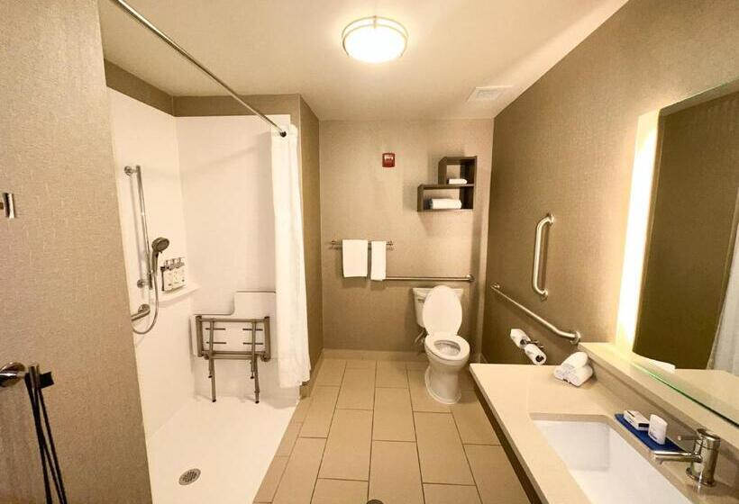 غرفة قياسية سرير كينج لذوى الإحتياجات الخاصة, Holiday Inn Express & Suites Plymouth   Ann Arbor Area, An Ihg