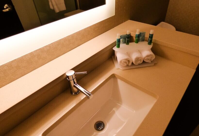 Номер Deluxe Адаптированный для Инвалидов, Holiday Inn Express & Suites Plymouth   Ann Arbor Area, An Ihg