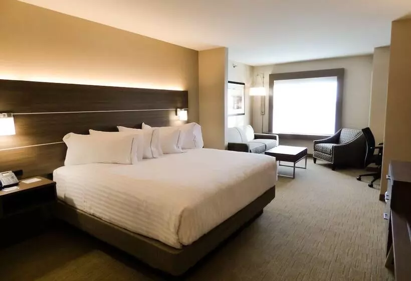 障害者適応デラックスルーム, Holiday Inn Express & Suites Plymouth   Ann Arbor Area, An Ihg