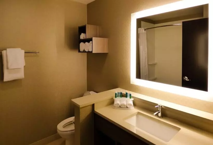 デラックスルーム, Holiday Inn Express & Suites Plymouth   Ann Arbor Area, An Ihg