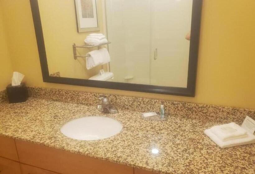 غرفة قياسية, Mainstay Suites Sidney  Medical Center