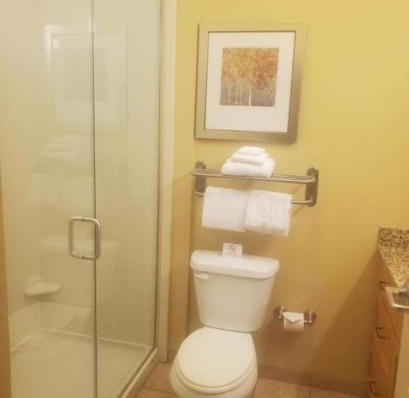 اتاق استاندارد, Mainstay Suites Sidney  Medical Center