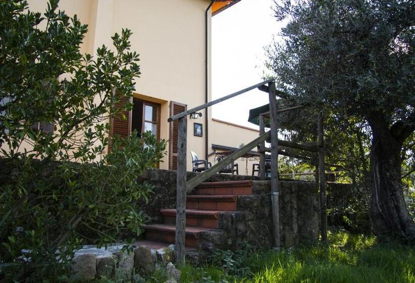 Апартаменты 1 Спальня, Agriturismo Tenuta Cantagallo