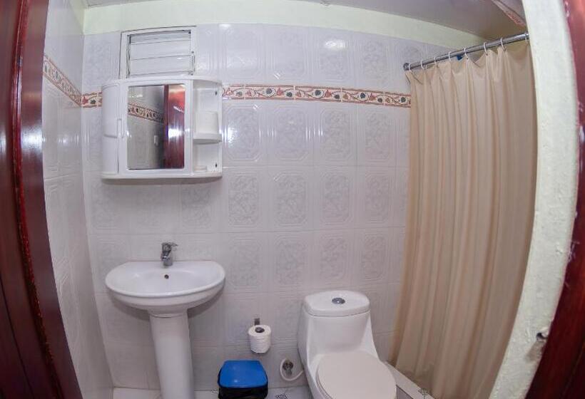 اتاق استاندارد, Renacer