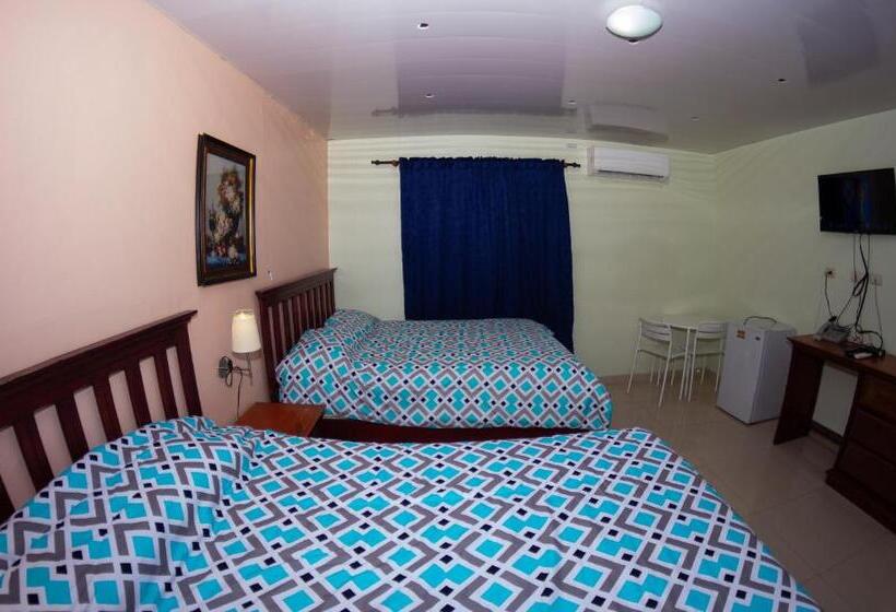 اتاق استاندارد, Renacer