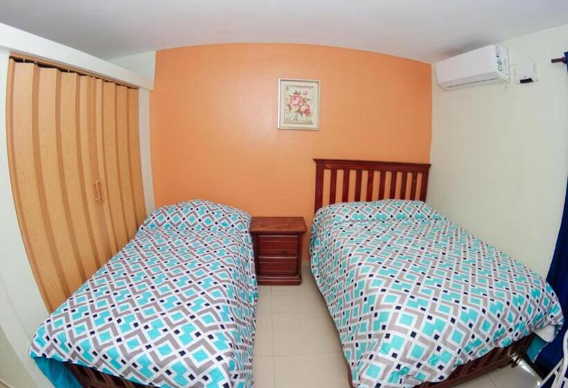 اتاق استاندارد یک نفره, Renacer