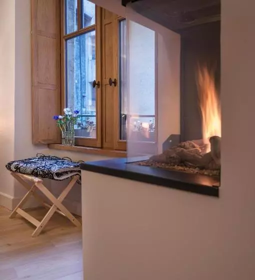 スタンダードスタジオ, Les Loges Annecy Vieille Ville