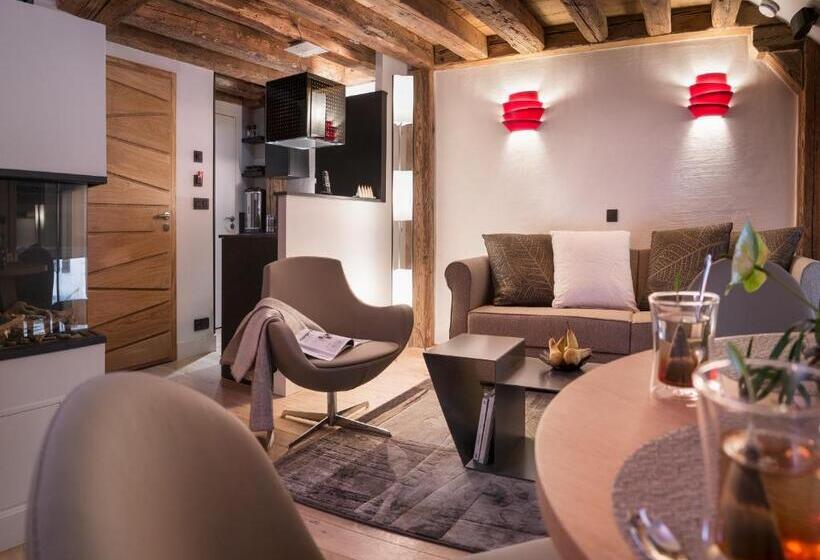 带1个卧室的豪华公寓, Les Loges Annecy Vieille Ville