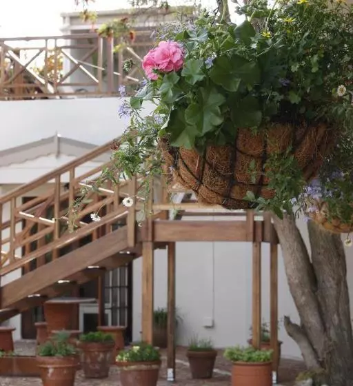 スタンダードスタジオ, The Potting Shed Guest House