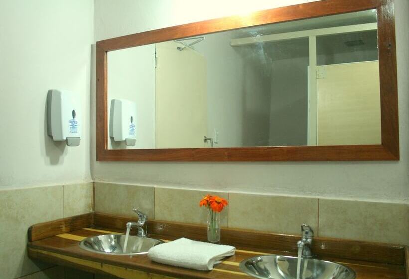 스탠다드 트리픔 룸 공동욕실, All Norte Hostel