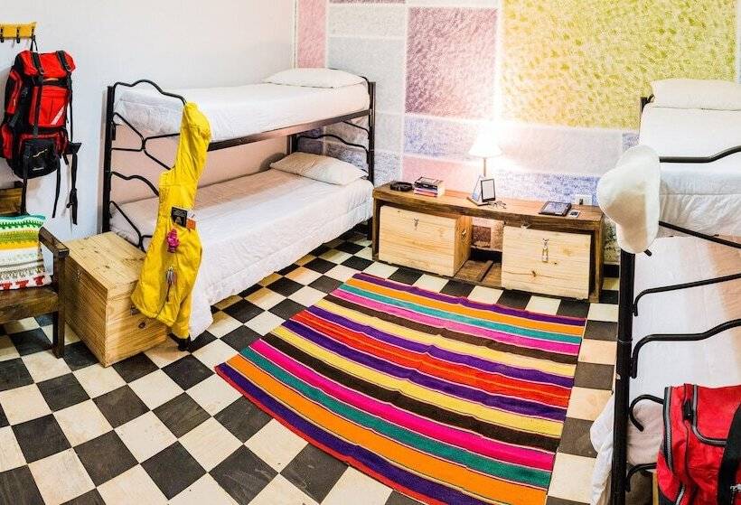 스탠다드 트리픔 룸 공동욕실, All Norte Hostel