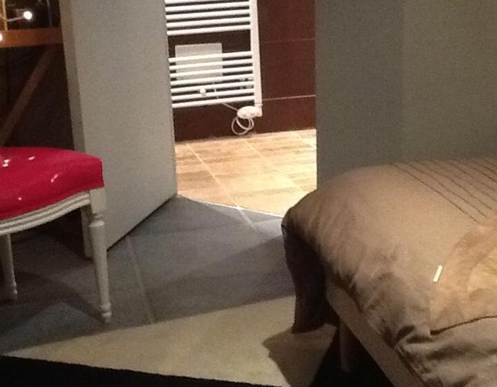 חדר סטנדרט, La Villa Blanche