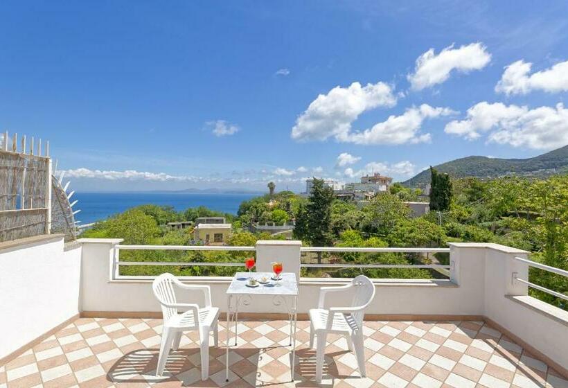 オーシャンビュースタンダードルーム, Villa D'orta