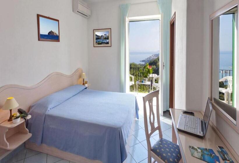 オーシャンビュースタンダードルーム, Villa D'orta