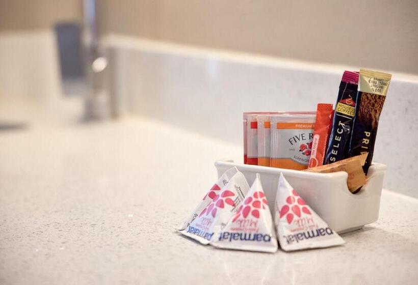 חדר סטנדרט עם מיטת קינג, First Group Magalies Park